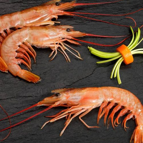 Argentinian Red Shrimps frozen <br>on board (Pleoticus Muelleri).